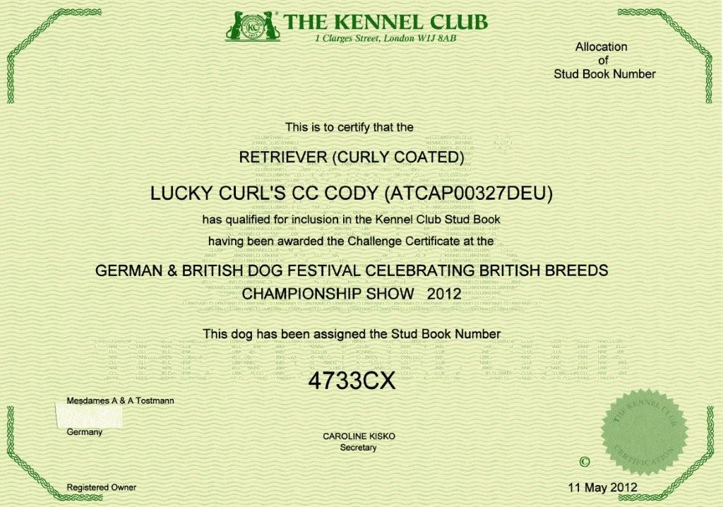 Cody Kennel Club